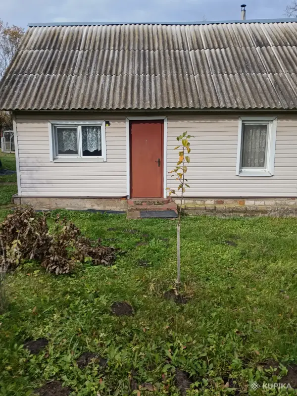 Продаётся дача в Оршанском р-не, д. Зайцево,д 39 - Вся Беларусь - 251065 - Доска объявлений Kupika.by - Фото 9