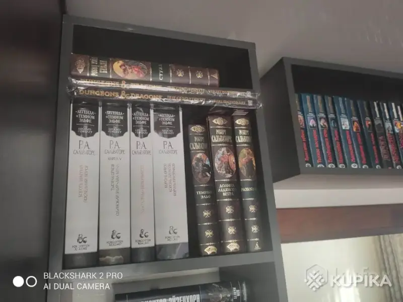 Р Сальваторе книги