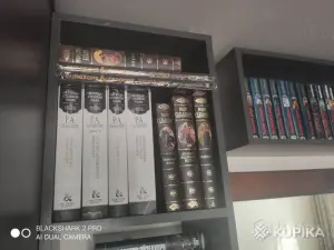 Р Сальваторе книги