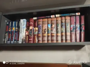 Р Сальваторе книги