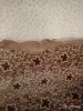 Другие товары для хобби и творчества - Шкура крокодила - Вся Беларусь - Фото 2 Шкура крокодила - Вся Беларусь - 250625 - Доска объявлений Kupika.by - Фото 2