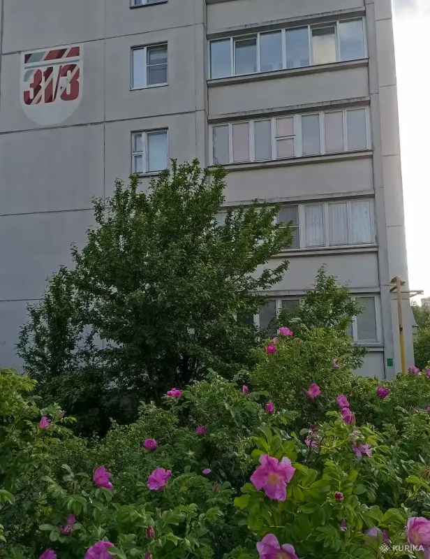 Продается отличная просторная квартира по улице Лещинского 31 к 3 - Вся Беларусь - 251225 - Доска объявлений Kupika.by - Фото 11