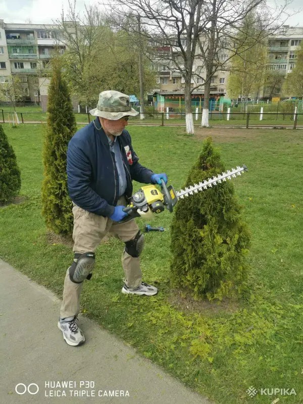 Стрижка туй