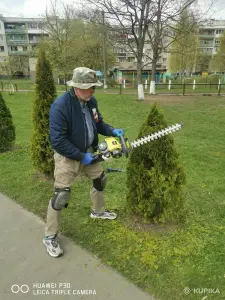 Стрижка туй