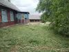 Покос травы/бурьяна/кустов Волковыск и пригород - Вся Беларусь - 253371 - Доска объявлений Kupika.by - Фото 8