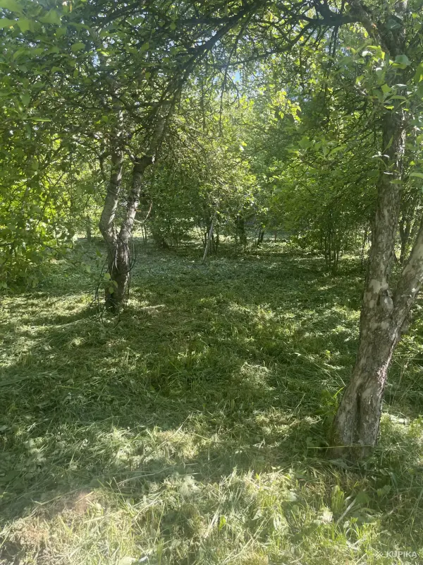 Продажа домов - Продажа домов - Вся Беларусь - Фото 7 Продажа домов - Вся Беларусь - 251342 - Доска объявлений Kupika.by - Фото 7