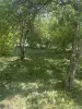 Продажа домов - Продажа домов - Вся Беларусь - Фото 7 Продажа домов - Вся Беларусь - 251342 - Доска объявлений Kupika.by - Фото 7