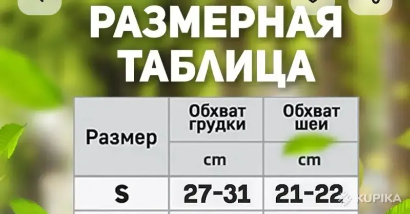 Переноска для животных + шлейка + миска - Вся Беларусь - 250976 - Доска объявлений Kupika.by - Фото 4