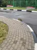 Коты на заправке! Срочно нужна помощь котам! Сос! - Вся Беларусь - 251511 - Доска объявлений Kupika.by - Фото 2