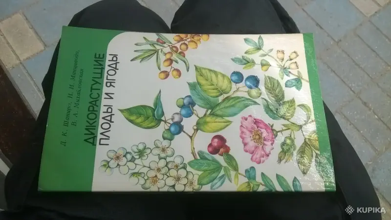 Книга Дикорастущие плоды и ягоды Шапиро