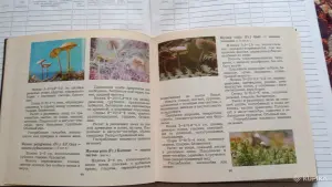 Книга "Макромицеты" о грибах