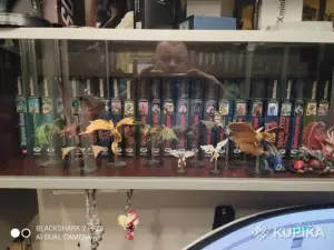 Р Сальваторе книги