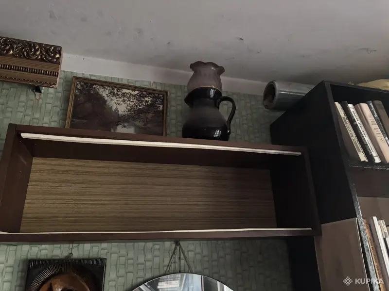 Книжная полка и телевизор