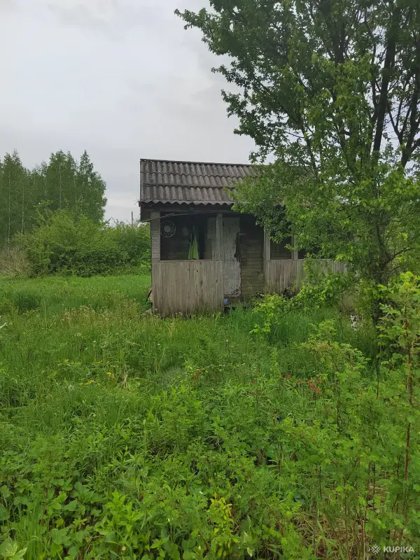 Продажа земельных участков - Продаю 2 участка - Вся Беларусь - Фото 9 Продаю 2 участка - Вся Беларусь - 251925 - Доска объявлений Kupika.by - Фото 9