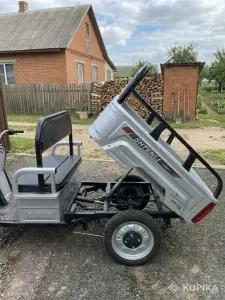 Грузовой Трицикл Shtenli Model 90 (60W 20aч)