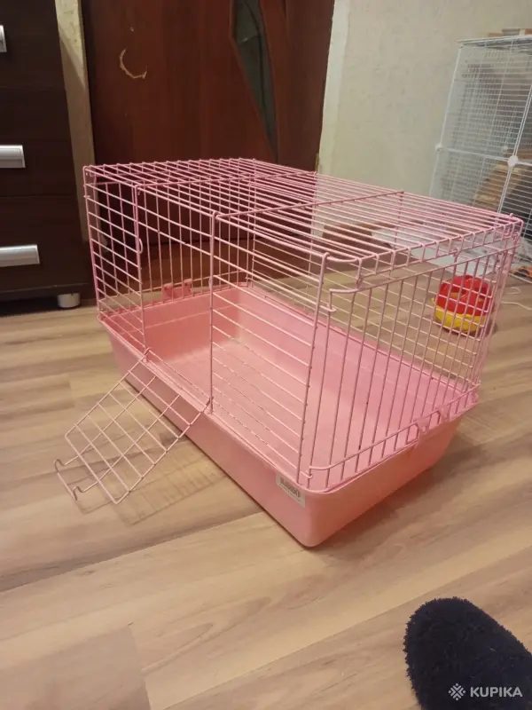 Клетка