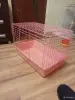 Клетка - Вся Беларусь - 251164 - Доска объявлений Kupika.by
