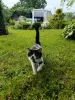 Котик в добрые руки😽🐈‍⬛😻! - Вся Беларусь - 253145 - Доска объявлений Kupika.by - Фото 3