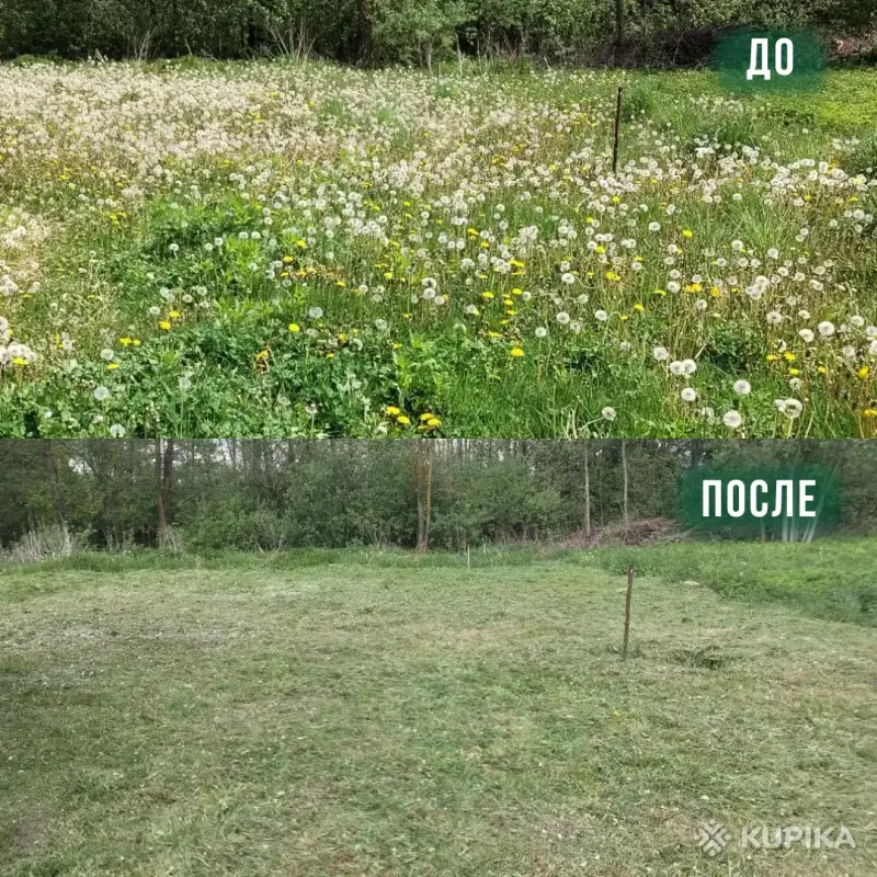 Покос травы/бурьяна/кустов Волковыск и пригород - Вся Беларусь - 253371 - Доска объявлений Kupika.by - Фото 3