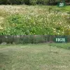 Покос травы/бурьяна/кустов Волковыск и пригород - Вся Беларусь - 253371 - Доска объявлений Kupika.by - Фото 3