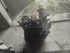 Двигатель - Вся Беларусь - 250905 - Доска объявлений Kupika.by