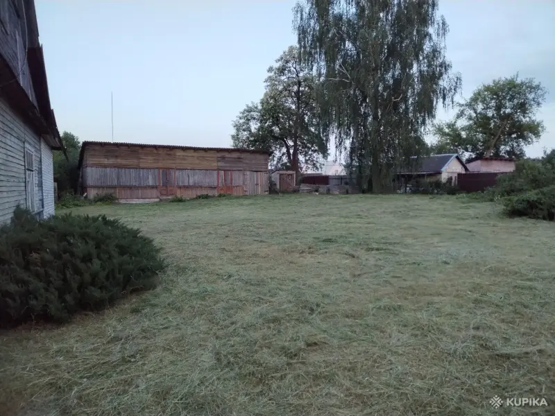 Покос травы/бурьяна/кустов Волковыск и пригород - Вся Беларусь - 253371 - Доска объявлений Kupika.by - Фото 6