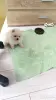 Мальчики померанского шпица - Вся Беларусь - 250689 - Доска объявлений Kupika.by - Фото 6