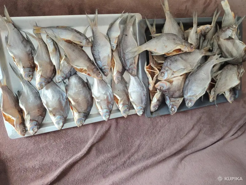 Продукты питания - Сушённая рыба /рыба холодного копчения - Вся Беларусь - Фото 4 Сушённая рыба /рыба холодного копчения - Вся Беларусь - 251793 - Доска объявлений Kupika.by - Фото 4