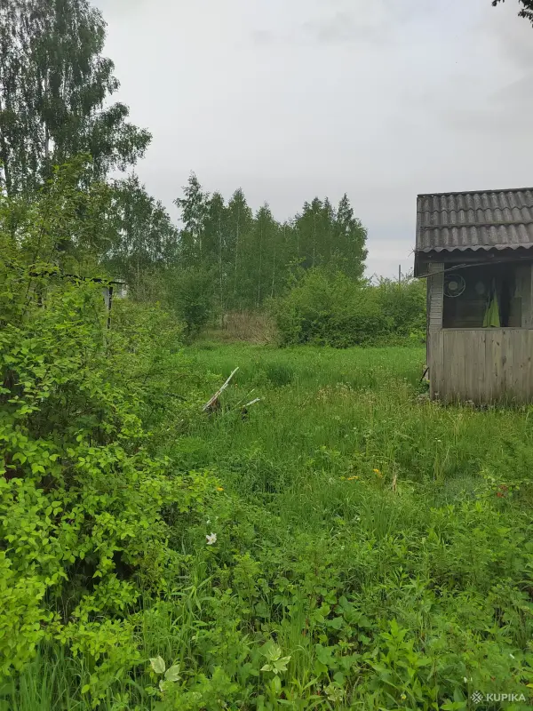 Продажа земельных участков - Продаю 2 участка - Вся Беларусь - Фото 8 Продаю 2 участка - Вся Беларусь - 251925 - Доска объявлений Kupika.by - Фото 8