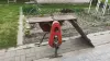 Деревообрабатывающий станок для мотоблока - Вся Беларусь - 250962 - Доска объявлений Kupika.by - Фото 2
