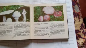 Книга "Макромицеты" о грибах