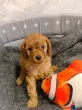 user_73270