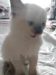 user_73377