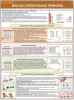 Все остальное - Теплоснабжение и отопительные системы. Учебные плакаты для колледжа - Вся Беларусь - Фото 6 Теплоснабжение и отопительные системы. Учебные плакаты для колледжа - Вся Беларусь - 251165 - Доска объявлений Kupika.by - Фото 6