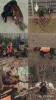Щенки немецкого дратхаара - Вся Беларусь - 252654 - Доска объявлений Kupika.by - Фото 3
