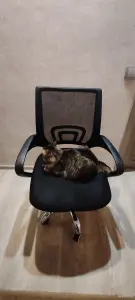 Стул компьютерный