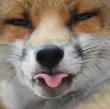 user_72964