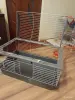 Клетка - Вся Беларусь - 251162 - Доска объявлений Kupika.by - Фото 2