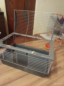Клетка