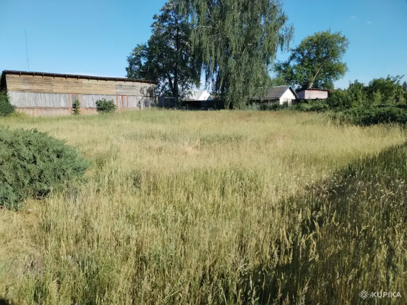 Покос травы/бурьяна/кустов Волковыск и пригород - Вся Беларусь - 253371 - Доска объявлений Kupika.by - Фото 5