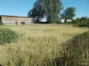 Покос травы/бурьяна/кустов Волковыск и пригород - Вся Беларусь - 253371 - Доска объявлений Kupika.by - Фото 5