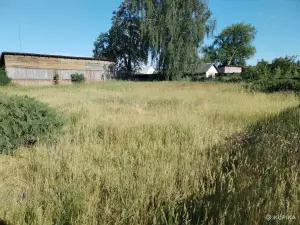 Покос травы/бурьяна/кустов Волковыск и пригород