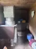 Дача - Вся Беларусь - 252268 - Доска объявлений Kupika.by - Фото 7