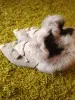 Ботинки - Островец - 253322 - Доска объявлений Kupika.by - Фото 2
