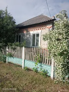 Недвижимость