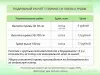 Покос травы/бурьяна/кустов Волковыск и пригород - Вся Беларусь - 253371 - Доска объявлений Kupika.by - Фото 2