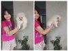 Собаки - Животные - Вся Беларусь Животные - Вся Беларусь - 251452 - Доска объявлений Kupika.by