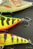 воблеры Rapala  +  Salmo  +  коробка  -    обмен - Вся Беларусь - 251994 - Доска объявлений Kupika.by - Фото 11