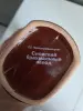 Хозяйственные товары - Бутылка, пустая. Даром - Вся Беларусь - Фото 3 Бутылка, пустая. Даром - Вся Беларусь - 257665 - Доска объявлений Kupika.by - Фото 3