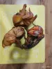 Мангалы, коптильни, казаны - Коптильня мясных и рыбных продуктов - Вся Беларусь - Фото 6 Коптильня мясных и рыбных продуктов - Вся Беларусь - 257831 - Доска объявлений Kupika.by - Фото 6